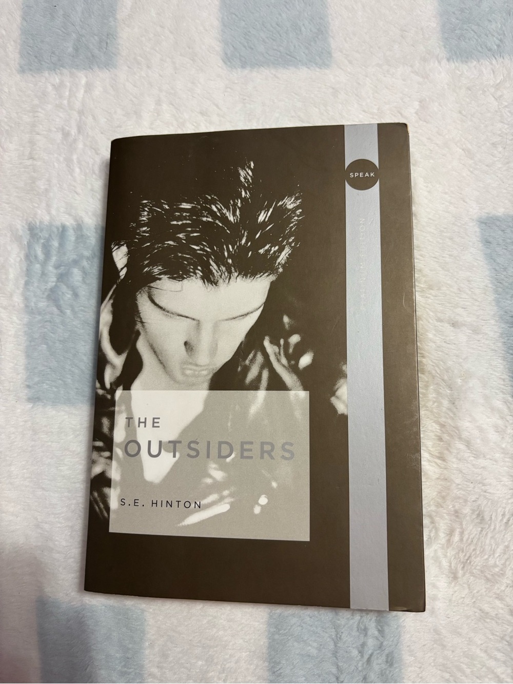 The Outsiders Paperback Book